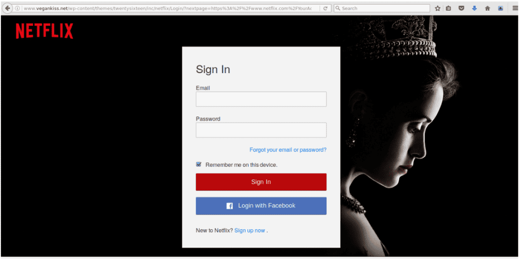 Netflix Scam Website